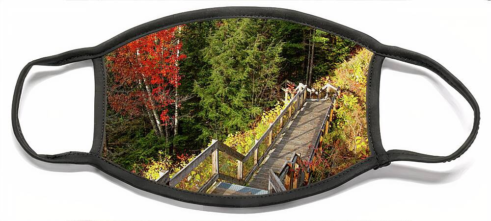 Au Sable River Face Mask featuring the photograph Huron Manistee National Forest in Michigan with fall colors by Eldon McGraw