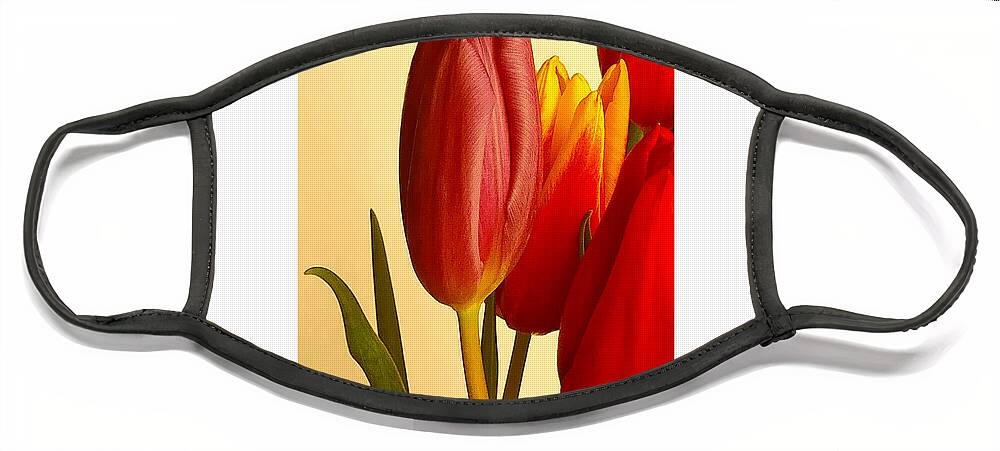 Tulips Face Mask featuring the photograph Hurry Spring - Pretty Please by Rene Crystal