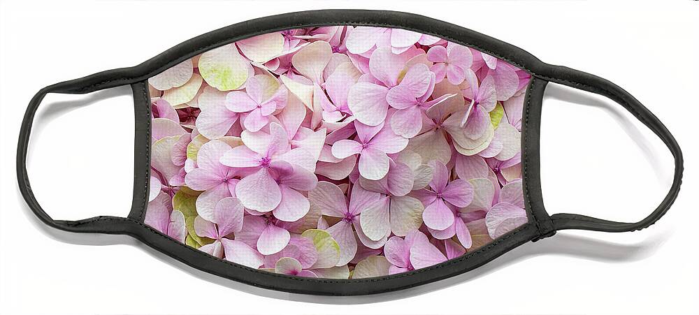 Flowers Face Mask featuring the photograph Hydrangea by Louise Tanguay