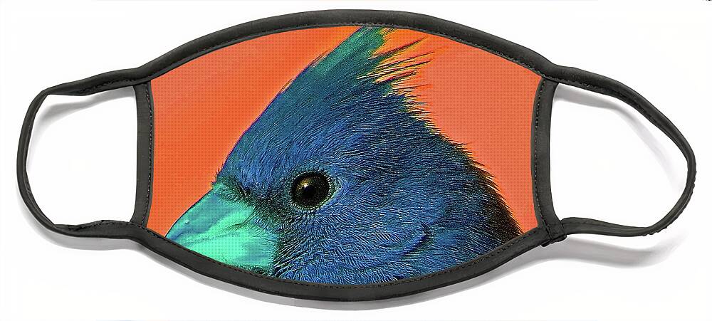 Birds Face Mask featuring the photograph If Cardinals Were Blue by Linda Stern