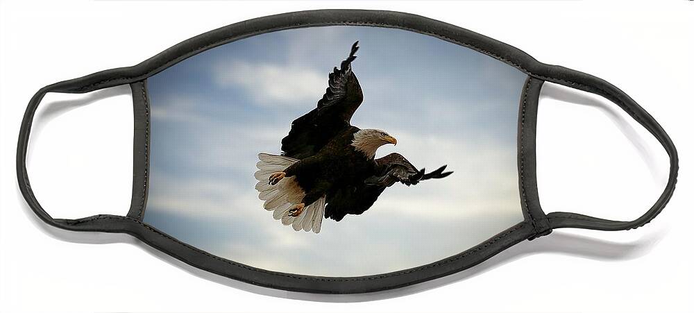 Eagles Face Mask featuring the photograph In Flight by Veronica Batterson