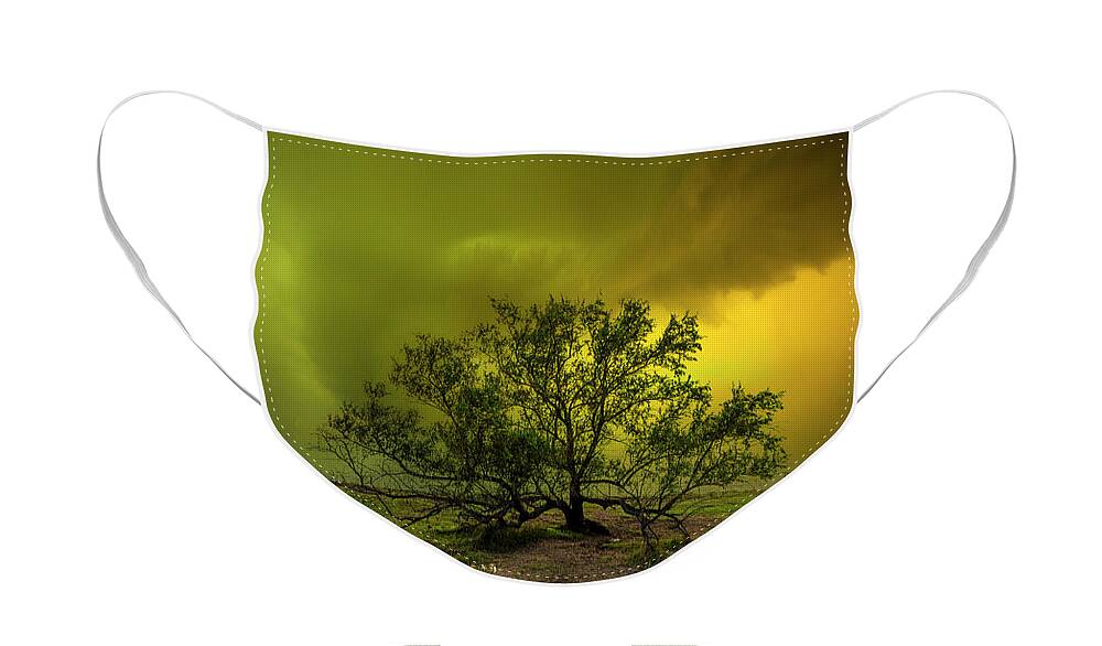 Tree Face Mask featuring the photograph In My Darkest Hour by Aaron J Groen