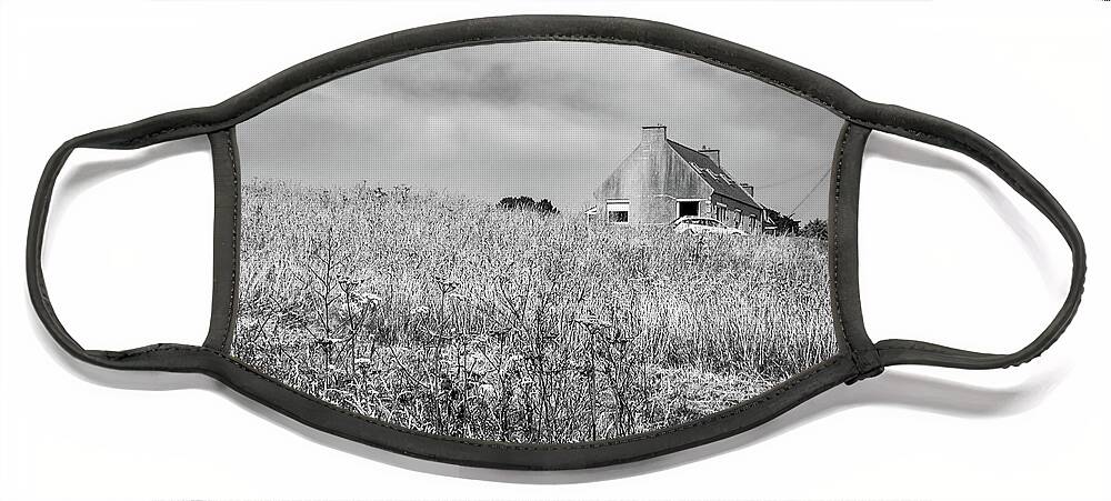 House Face Mask featuring the photograph In the field by Jim Feldman