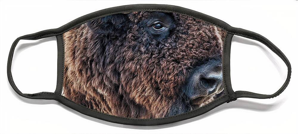 Olena Art Face Mask featuring the photograph In The Presence of Bison in Rocky Mountain Arsenal National Wildlife Refuge by OLena Art