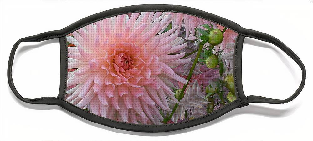 Dahlia Face Mask featuring the photograph Infiite Pink Dahlia Dream by Toni Saddler-French