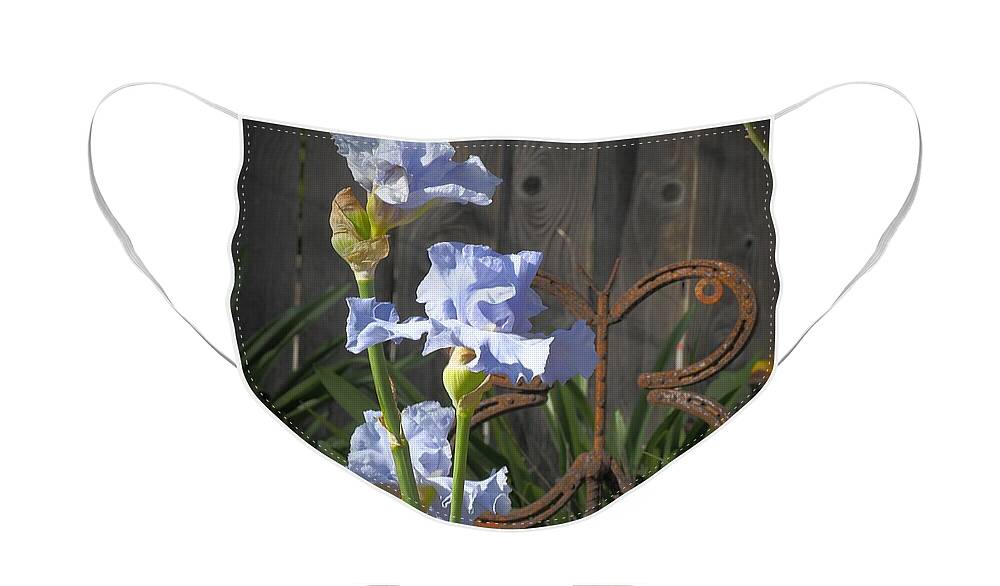 Landscape Face Mask featuring the photograph Iris Butterfly by Richard Thomas