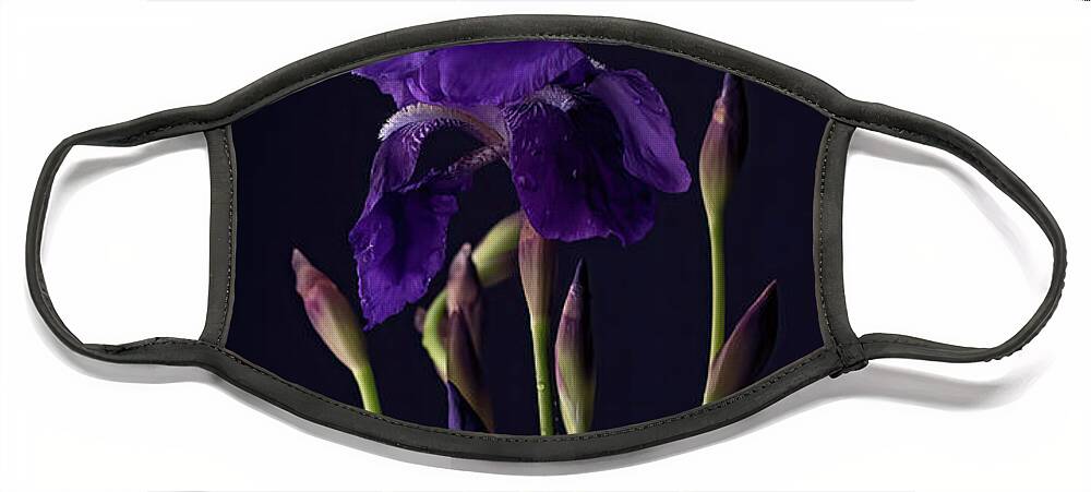 Purple Face Mask featuring the photograph Iris by Holly Ross