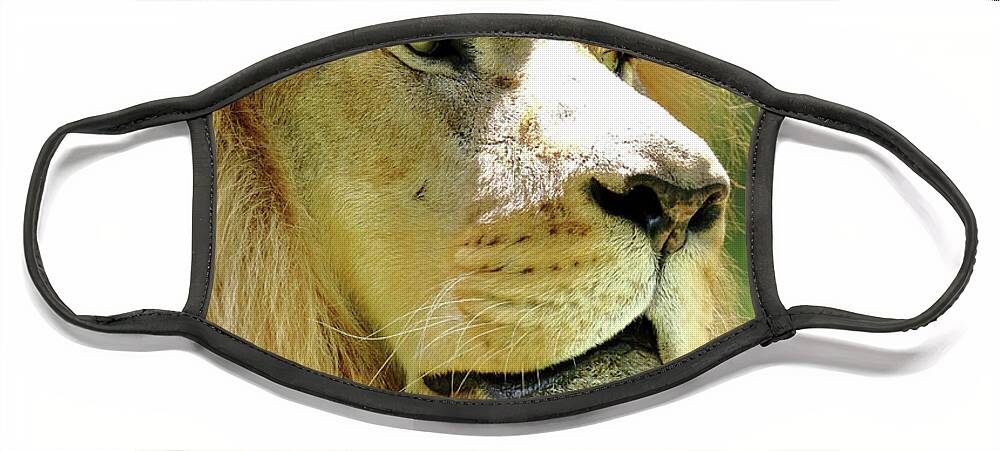 Lion Face Mask featuring the photograph Is This My Good Side by Lens Art Photography By Larry Trager