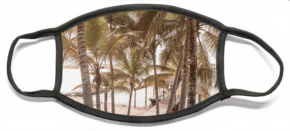 Dock Face Mask featuring the photograph Island Dock Under Beachhouse Palms by Debra and Dave Vanderlaan