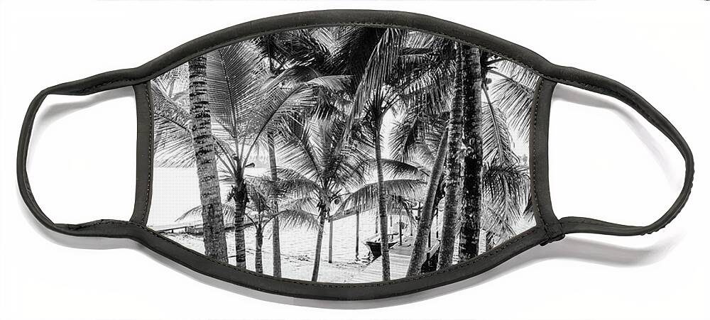 Black Face Mask featuring the photograph Island Dock Under Palms Black and White by Debra and Dave Vanderlaan