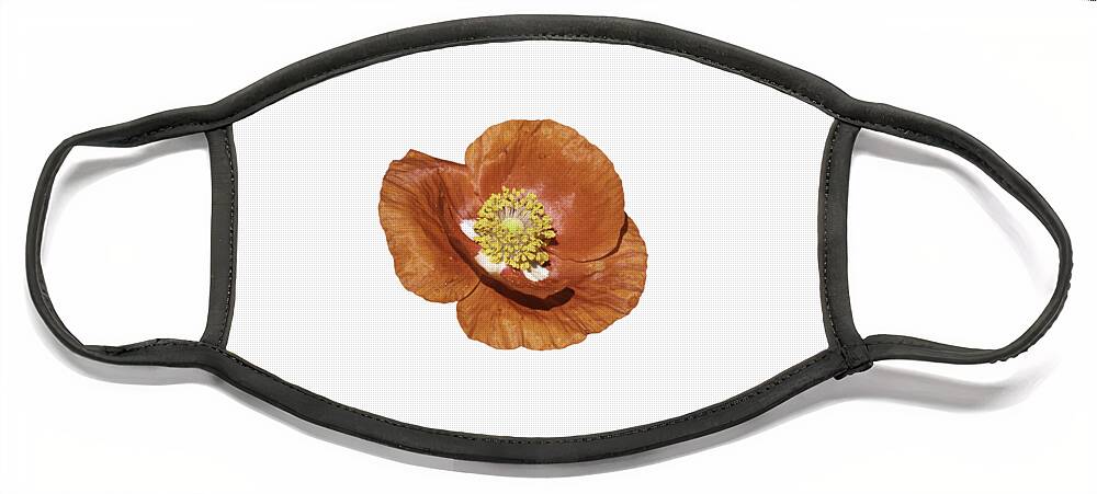 Poppy Face Mask featuring the photograph Isolated Poppy 2021-1 by Thomas Young