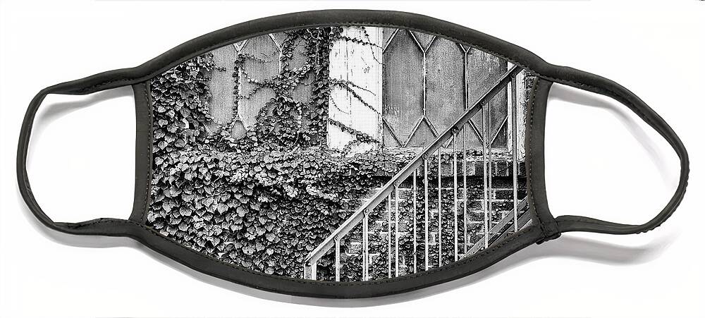  Face Mask featuring the photograph Ivy, Window And Stairs by Steve Stanger
