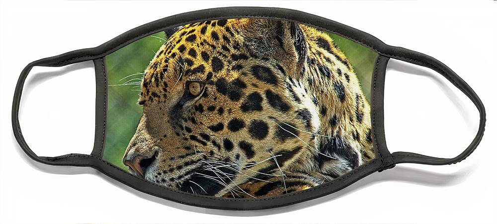 Mammal Face Mask featuring the photograph Jaguar Profile by David Desautel