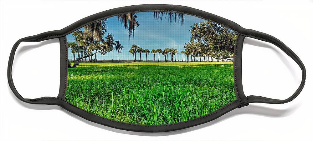 Landscapes Face Mask featuring the photograph Jekyll Island Grandeur by DB Hayes
