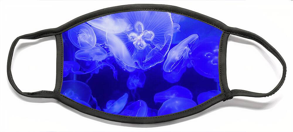 Jelly Face Mask featuring the photograph Jellyfish in the Water by Beachtown Views