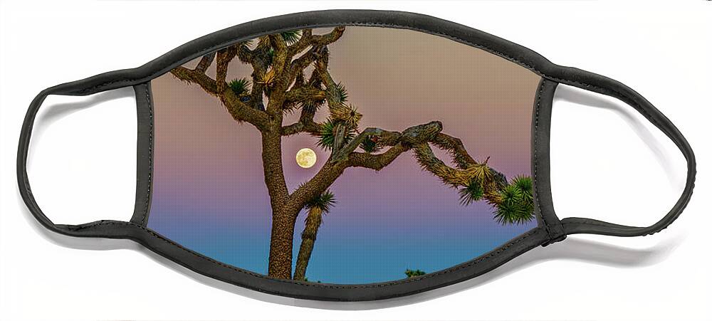 Joshua Tree Face Mask featuring the photograph Joshua Tree Full Moon by George Buxbaum