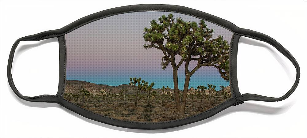 Joshua Tree National Park Face Mask featuring the photograph Joshua Tree Rainbow Sunset by Jim Schmidt MN