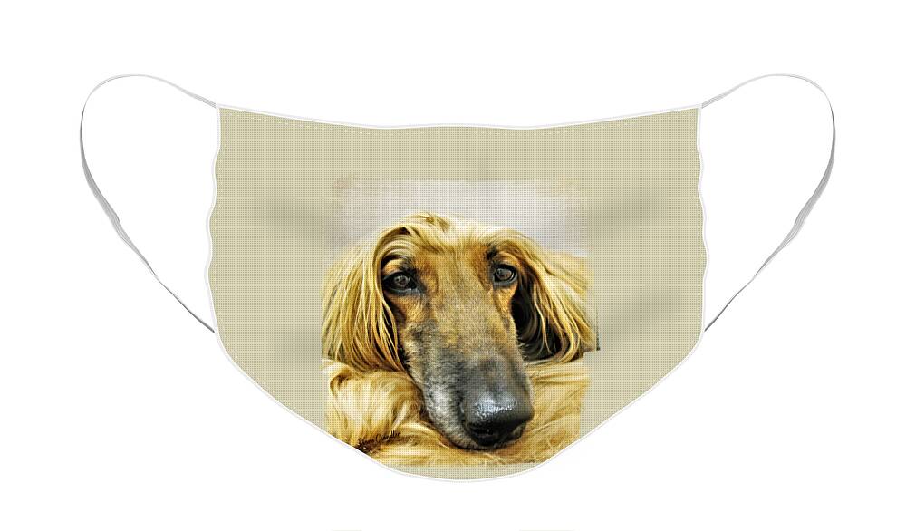 Afghan Hound Face Mask featuring the photograph Juno by Diane Chandler