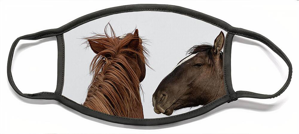 Wild Horses Face Mask featuring the photograph Just Friends by Mary Hone
