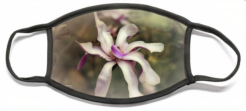 Magnolia Face Mask featuring the photograph Just Shy of Centre by Elaine Teague