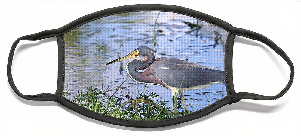 Juvenile Face Mask featuring the photograph Juvenile Blue Heron Waiting At Waters Edge by Philip And Robbie Bracco