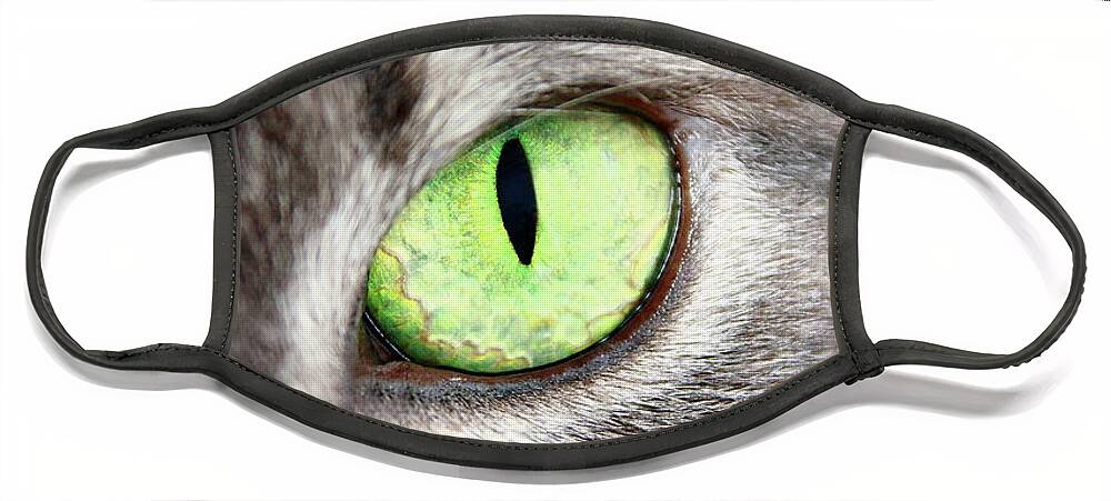 Cat Face Mask featuring the photograph Keeping An Eye On You by Lens Art Photography By Larry Trager