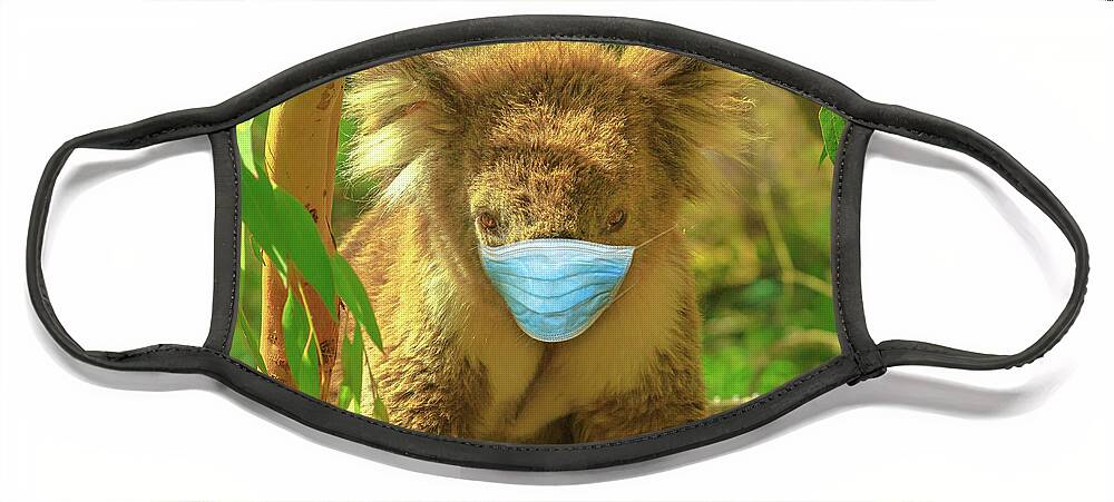 Covid 19 Australia Face Mask featuring the photograph Koala With Surgical Mask by Benny Marty