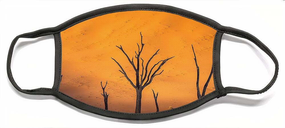 Deadvlei Face Mask featuring the photograph Lady in White by Peter Boehringer
