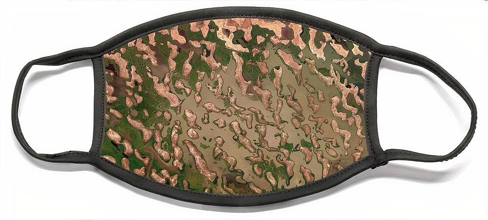 Satellite Image Face Mask featuring the digital art Lake Chad dunes by Christian Pauschert