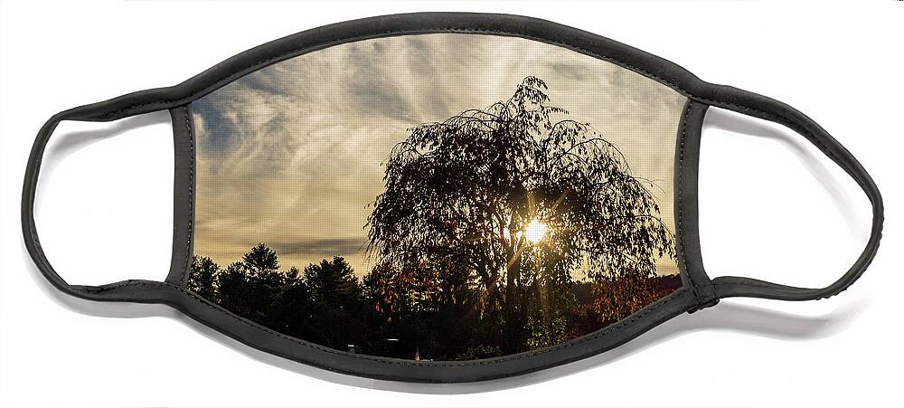Landscapes Face Mask featuring the photograph Landscape Photography - Cemetery by Amelia Pearn