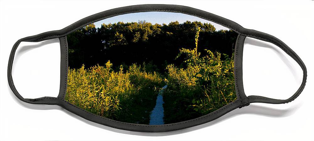 Natutre Face Mask featuring the photograph Last Light On The Preserve Trail by Frank J Casella
