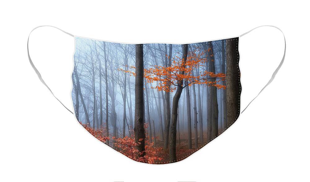 Fall Colours Face Mask featuring the photograph Late Autumn by Henry w Liu