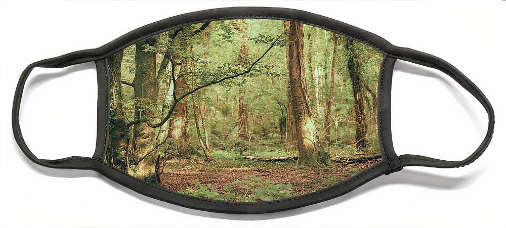 Forest Face Mask featuring the photograph Late Summer Evenings by Gavin Lewis