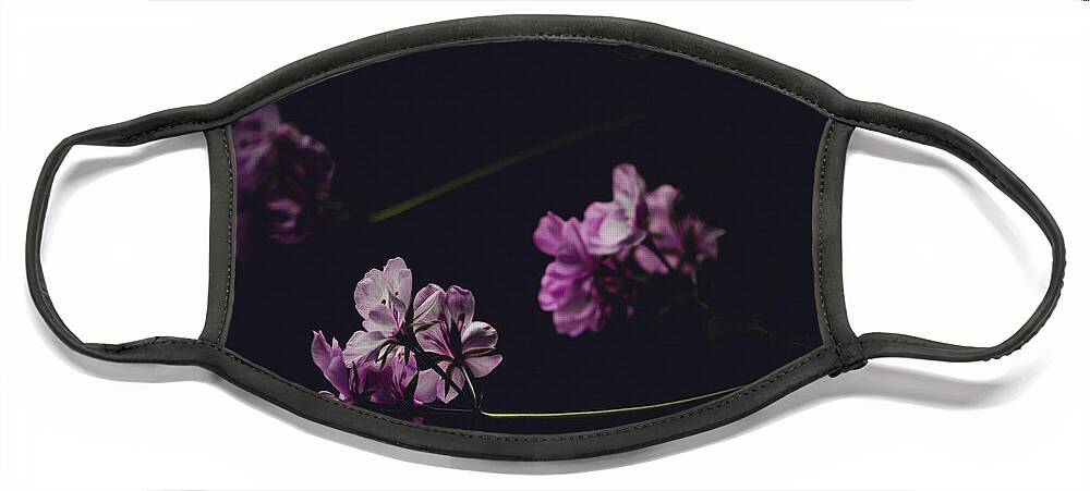 Geraniums Face Mask featuring the photograph Late Summer Geraniums by Denise Kopko