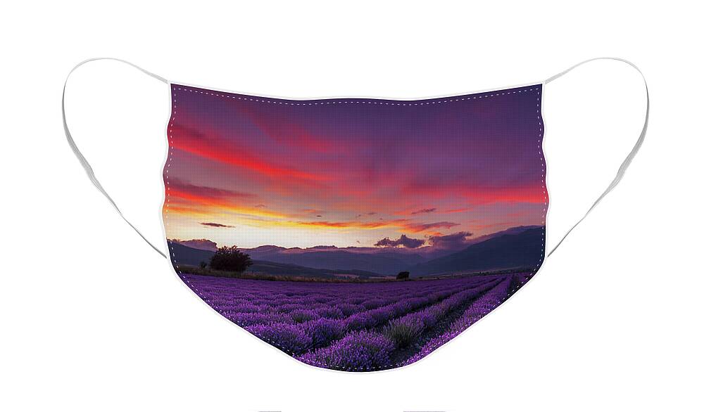 Dusk Face Mask featuring the photograph Lavender Season by Evgeni Dinev