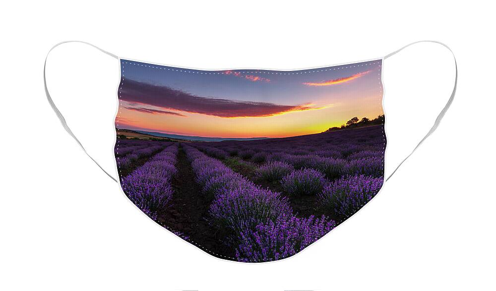 Bulgaria Face Mask featuring the photograph Lavender Sky by Evgeni Dinev