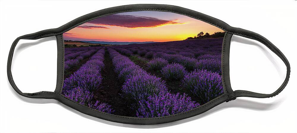 Bulgaria Face Mask featuring the photograph Lavender Sky by Evgeni Dinev