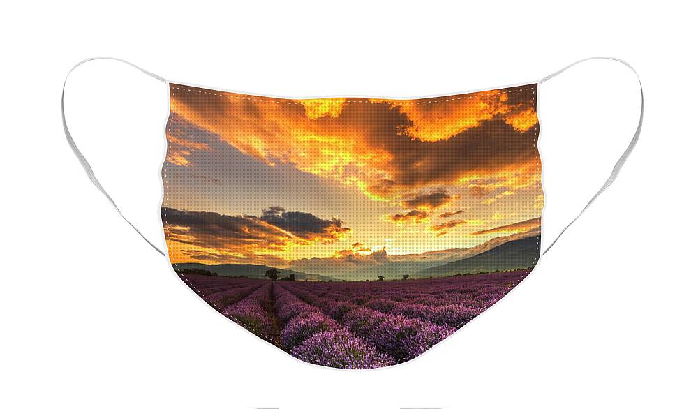 Bulgaria Face Mask featuring the photograph Lavender Sun by Evgeni Dinev