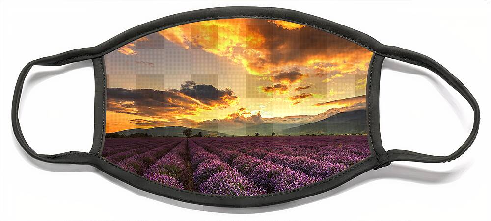Bulgaria Face Mask featuring the photograph Lavender Sun by Evgeni Dinev