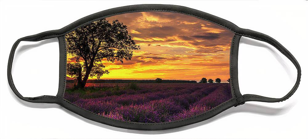 Bulgaria Face Mask featuring the photograph Lavender Sunrise by Evgeni Dinev