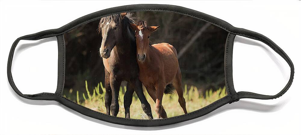 Salt River Wild Horses Face Mask featuring the photograph Lean On Me by Shannon Hastings