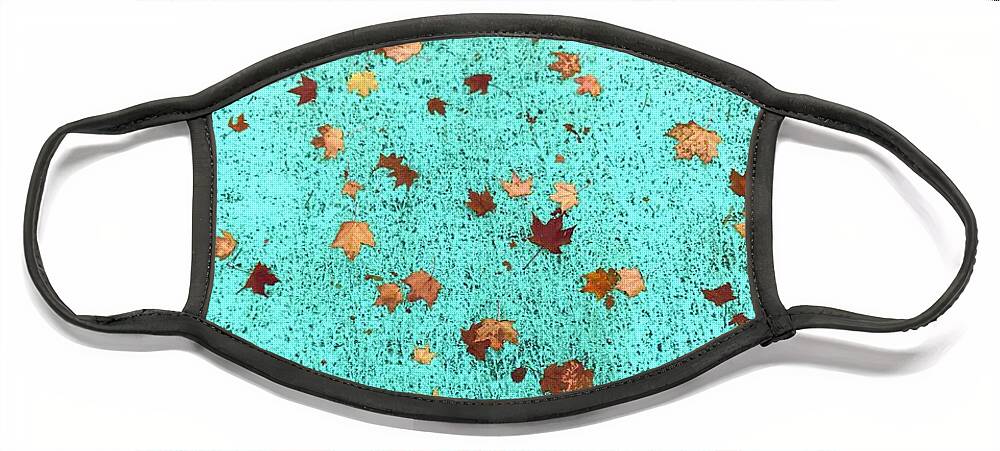 Leaves Face Mask featuring the photograph Leaves on Turquoise by Suzanne Lorenz