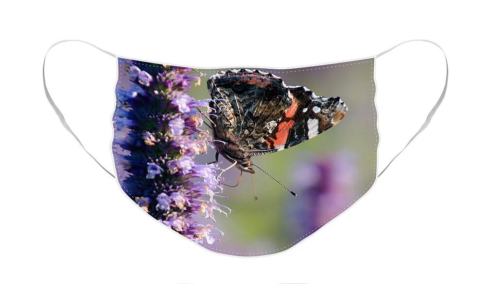 Life Face Mask featuring the photograph Life in the flower garden 6 by Jaroslav Buna