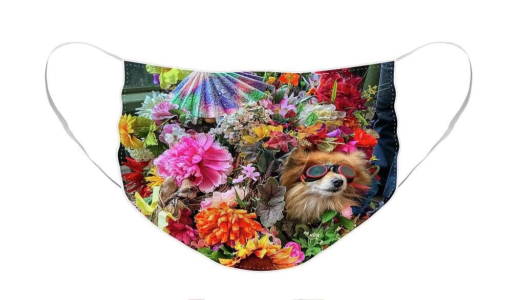 Pike Place Flower Market Face Mask featuring the photograph Life of the Party by Rebecca Caroline Photography