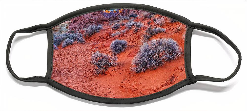  Face Mask featuring the photograph Life on Mars 1 by Rodney Lee Williams