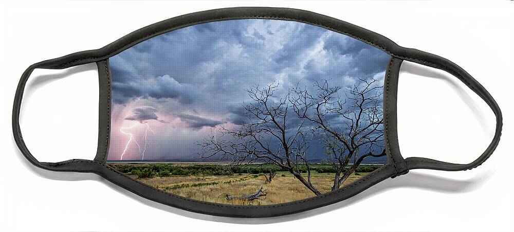 Storm Face Mask featuring the photograph Lightning Strike with Tree by Wesley Aston