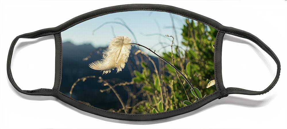 Feather Face Mask featuring the photograph Light feather in the wind by Adriana Mueller