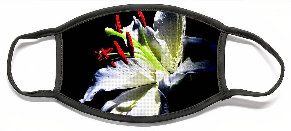 Flowers Face Mask featuring the photograph Lily Looking Toward the Light by Linda Stern