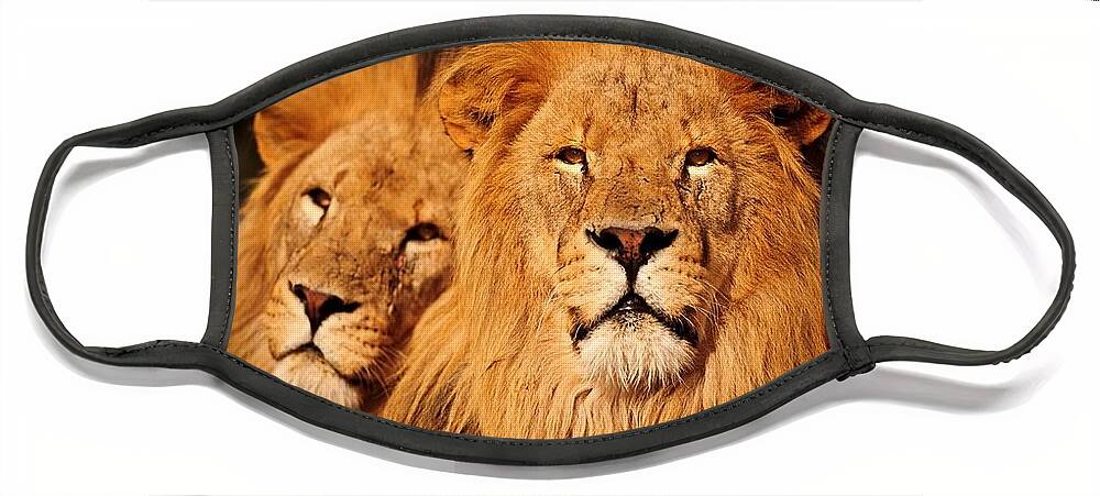 Lions Face Mask featuring the mixed media Lions Rule and I Do Too by Nancy Ayanna Wyatt