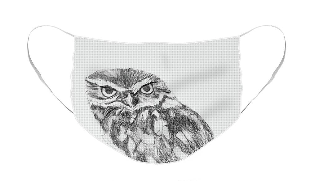 Owl Face Mask featuring the drawing Little Owl by Mary Capriole